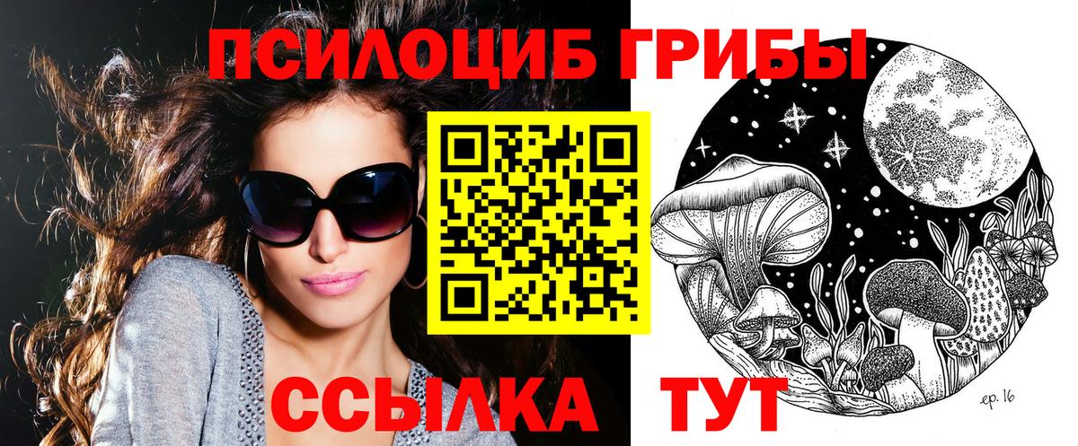 Псилоцибиновые грибы прущие грибы  Вход с VPN  Верхний Уфалей  Псилоцибиновые грибы Cubensis 
