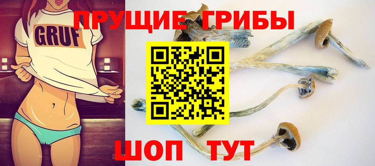 Псилоцибиновые грибы Cubensis Верхний Уфалей